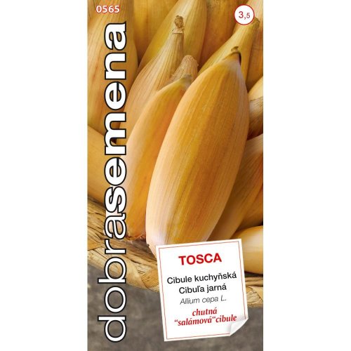 Cibuľa jarná žltá tosca 1g