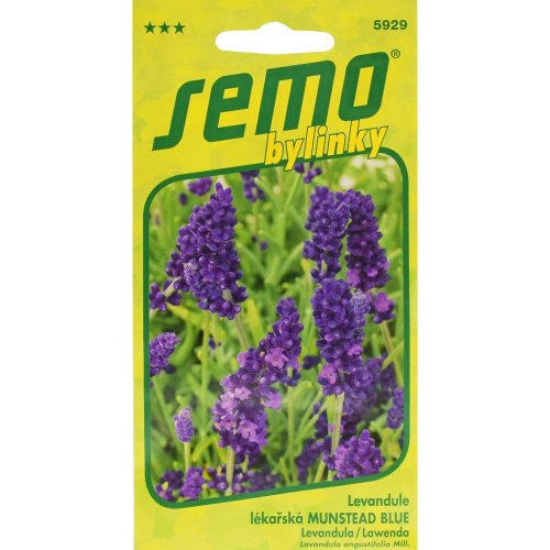 Levanduľa munstead blue 0,4g