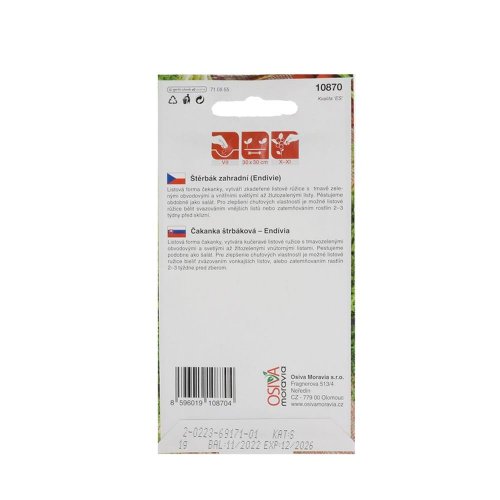 Čakanka štrb.eskariol gruner 1g