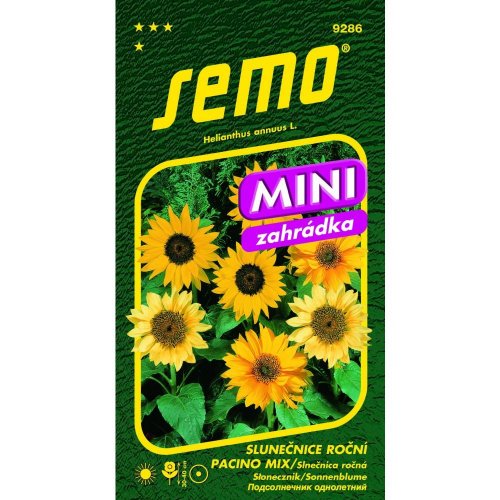 Slnečnica ročná pacino mix 15s