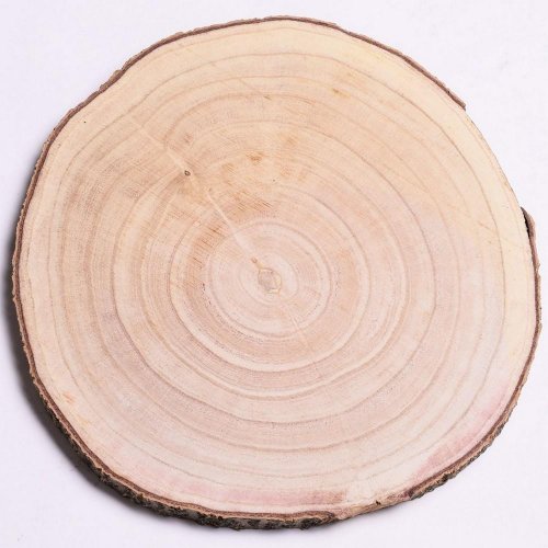 Drevený plát 26-30x2,5cm - Umelé kvety