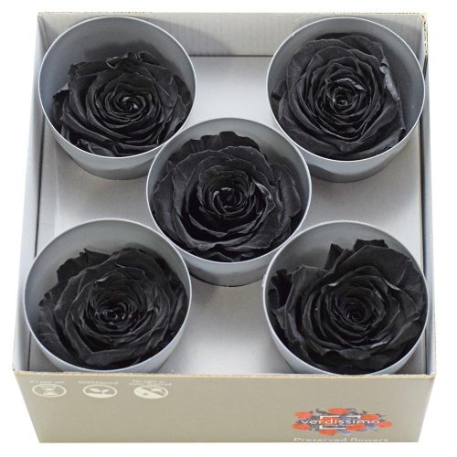 Ruža preparovaná 7cm black /ks - bal. 5 ks