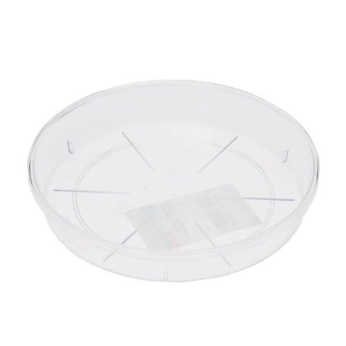 Podmiska plato 12 transparent