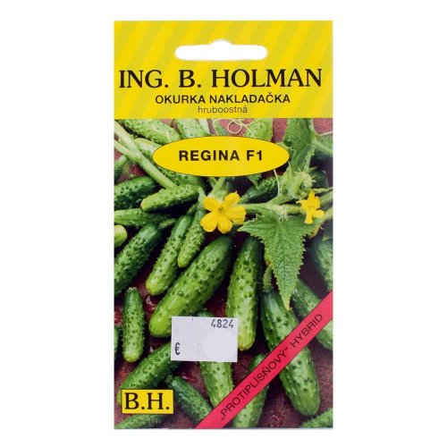 Uhorky nakl regina f1 2,5g