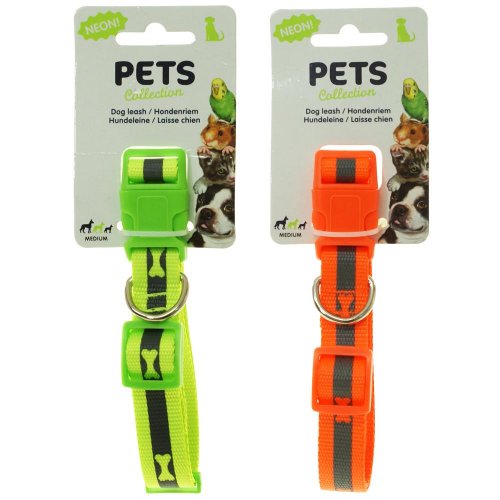 Obojok neon farba - medium