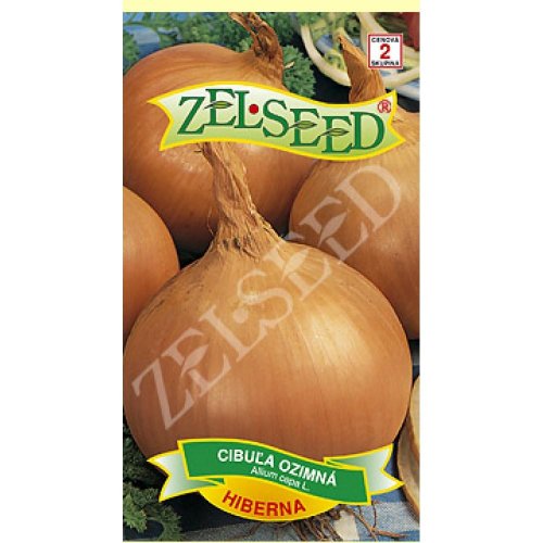 Cibuľa zimná hiberna 2g