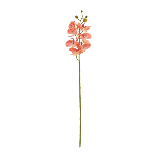 Ks orchidea x7 73cm ružovožltá