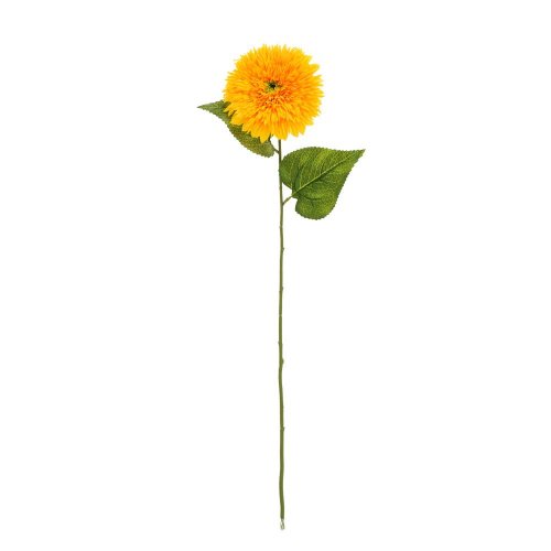 Ks slnečnica plnokvetá 69cm