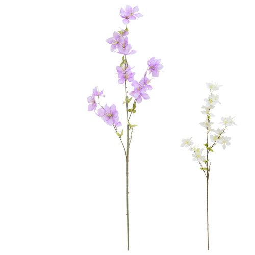 Ks clematis mix/2f 95cm