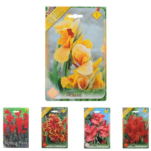 Canna mix