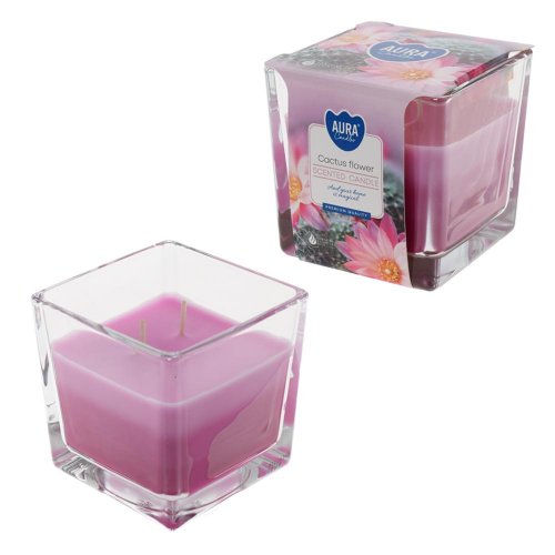 Voň.v skle trikolóra kaktus /snk80-312/ 170gr