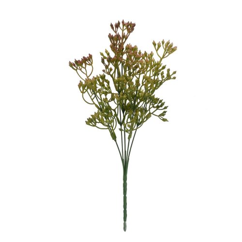 Zeleň bobulky zeleno-hnedé 33cm