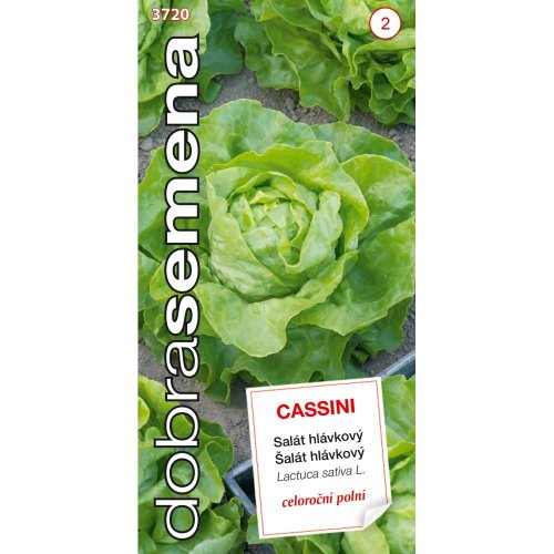 Šalát hlávkový cassini 0,4g