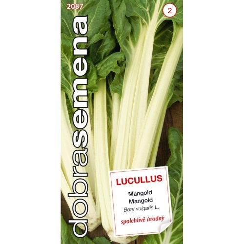 Mangold lucullus 3g