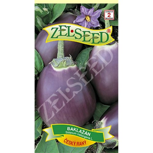 Baklažán český ranný 100s