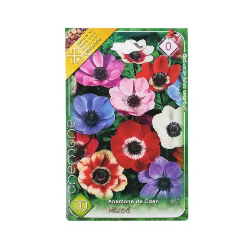Anemone de cean mix - Umelé kvety
