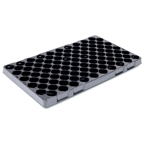 1553 multiplato 100bun. 52,5x30,5x3,5cm
