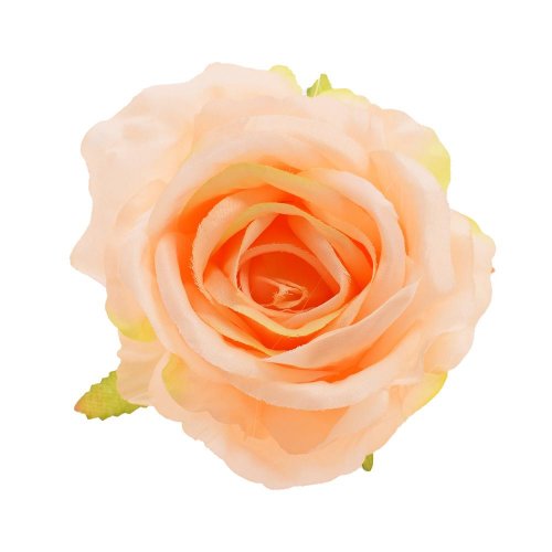 Hlava ruža marhuľová priem:10cm bal:12ks