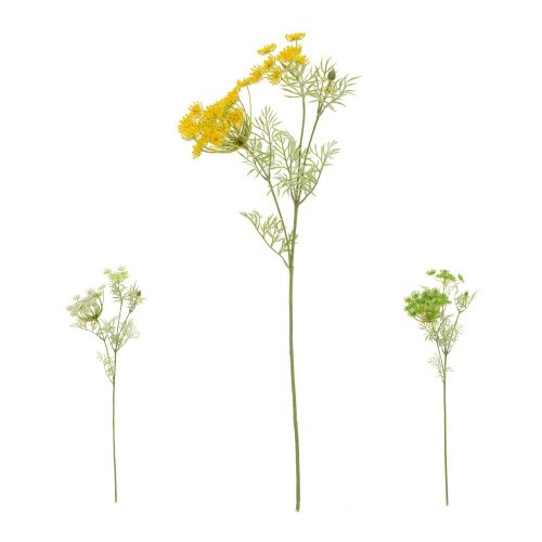 Ks ammi mix/3f 70cm