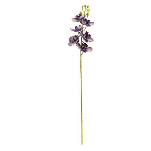 Ks orchidea phalaenopsis tmavo-fialová 72cm