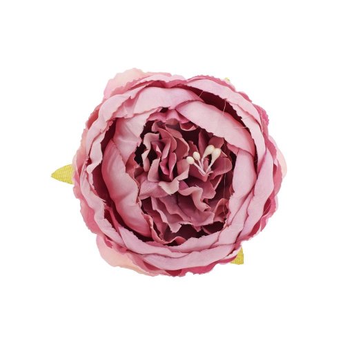 Hlava pivonka fialová 7cm