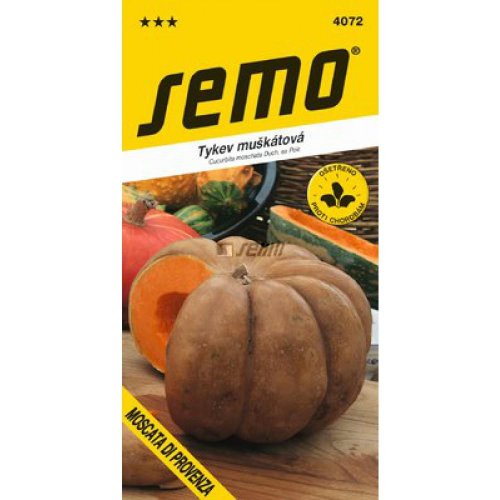 Tekvica moscata di provenza 2g