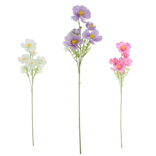 Ks cosmos mix/3f 85cm