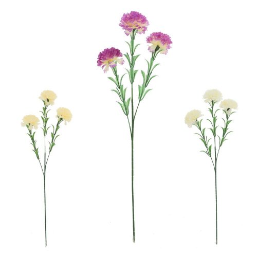 Ks karafiát, mix/3f 60cm