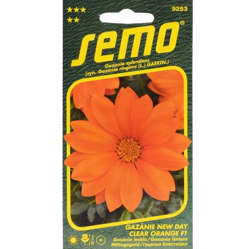 Gazánia lesklá new day clear orange f1 15s