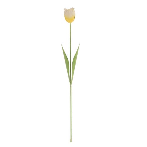 Tulipán bielo-žltý kov 53*7*3,5cm