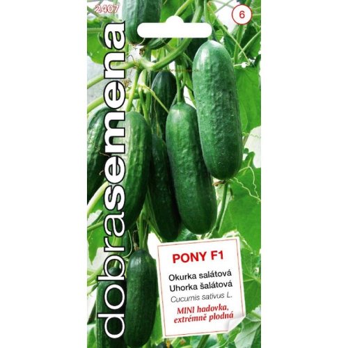 Uhorka šalátová pony f1 10s.