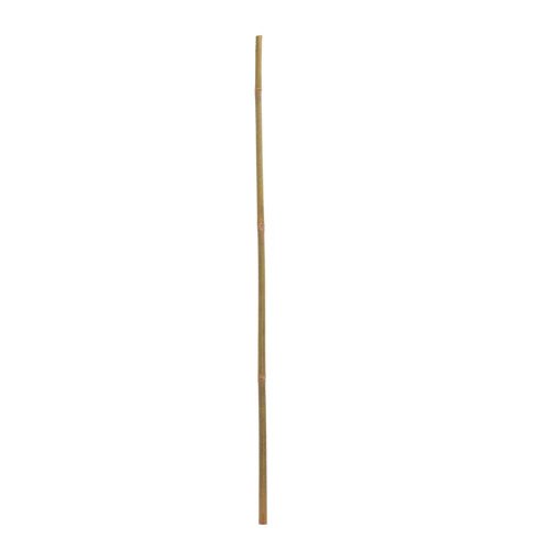 Bambus tyč 270cm