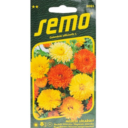 Nechtík pacific beauty 1g