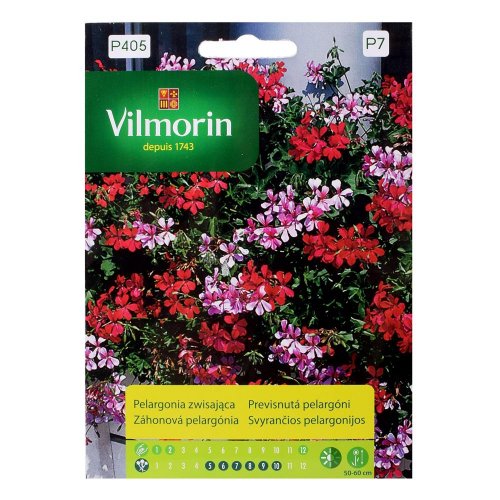 Previsnutá pelargónia mix