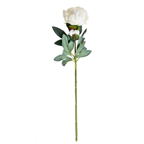 Ks pivonia s pukom biela 70cm