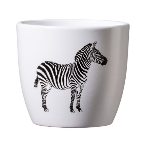 Obal safari zebra 8cm