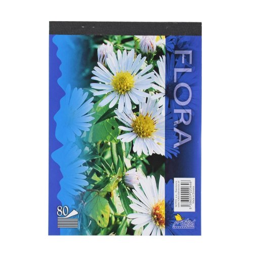 Pevná cena blok a5 15080/4b čistý