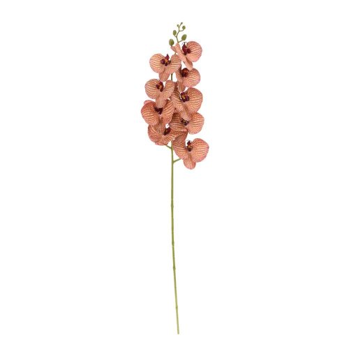 Ks orchidea phalaenopsis hnedo-červená 100cm
