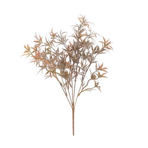 Zeleň asparagus zeleno-hnedý 43cm
