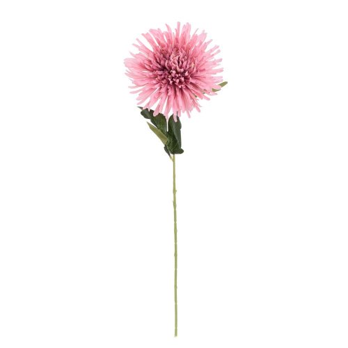 Ks chryzantéma ružová 60cm