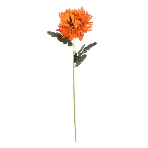 Ks chryzantéma oranžová 55cm