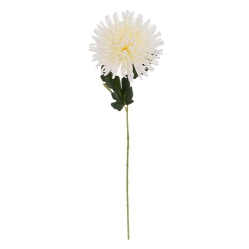 Ks chryzantéma biela 60cm