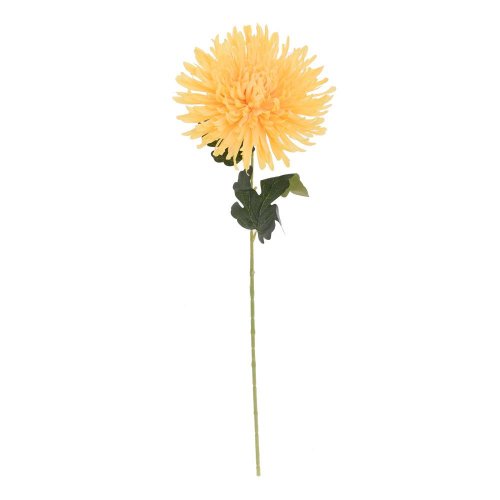 Ks chryzantéma žltá 60cm