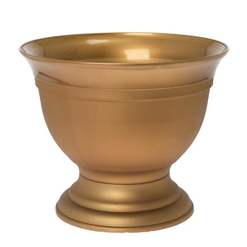 Gazon irys na stopke zlatá 28xv23,5cm