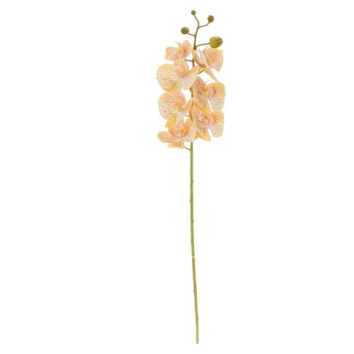 Ks orchidea phalaenopsis bledo-žltá/hnedá 73cm