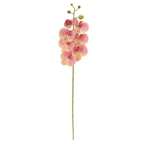 Ks orchidea phalaenopsis žlto-cyklaménová 73cm