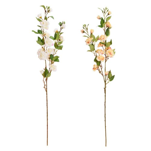 Ks ruža šípová, zeleň mix/2f 90cm