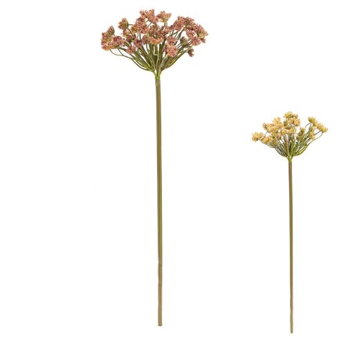 Ks ammi mix/2f 54cm