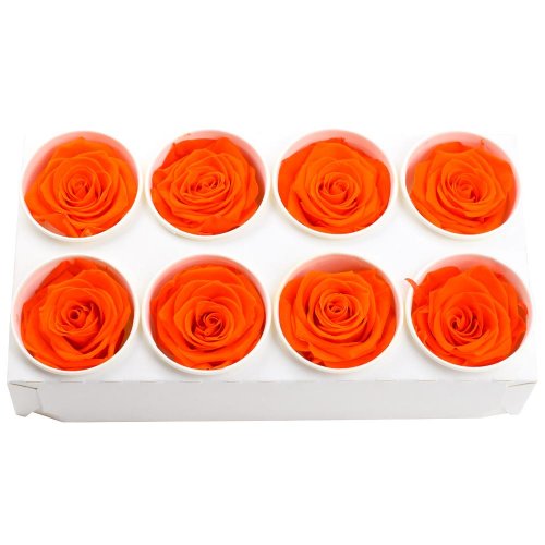 Ruža preparovaná 5cm orange flame /ks