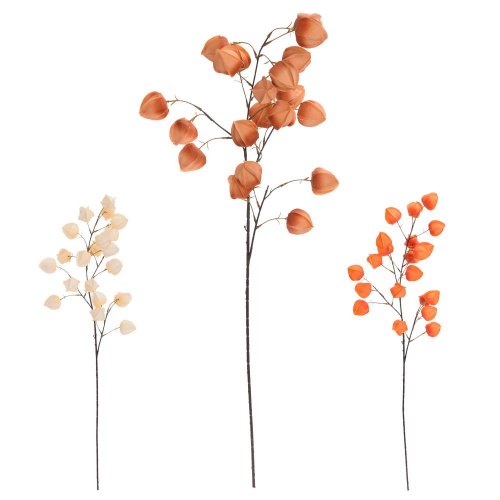 Konár physalis mix/3f 98cm
